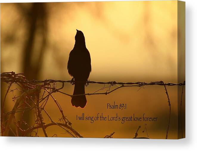 Bird Canvas Print featuring the photograph Sing by Lynn Hopwood