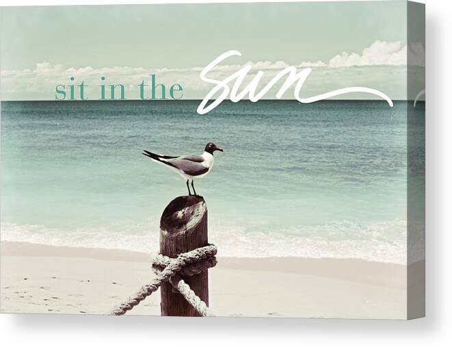 Sit Canvas Print featuring the photograph Sit In The Sun Bird by Susan Bryant