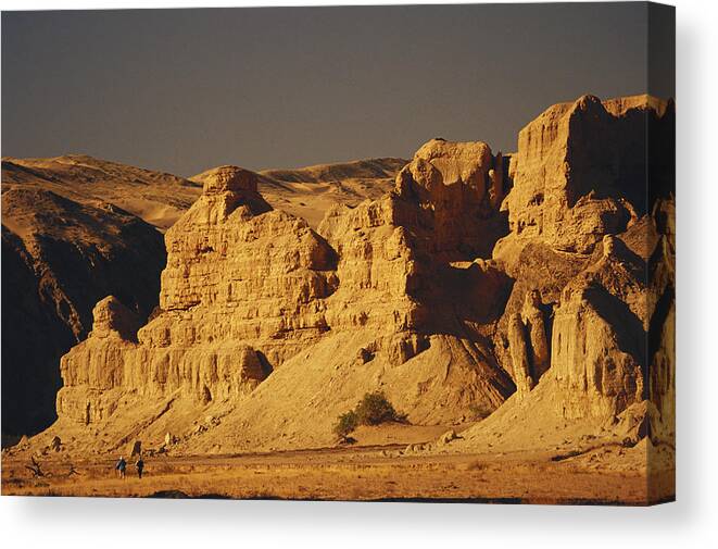 African Desert Canvas Print featuring the photograph Skeleton Coast, Namibia by F. Stuart Westmorland