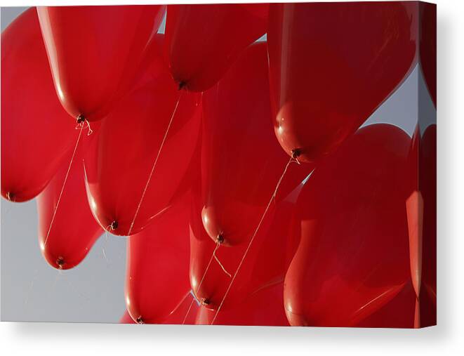 Balloons Canvas Print featuring the photograph SKC 0029 Unity in Flying by Sunil Kapadia