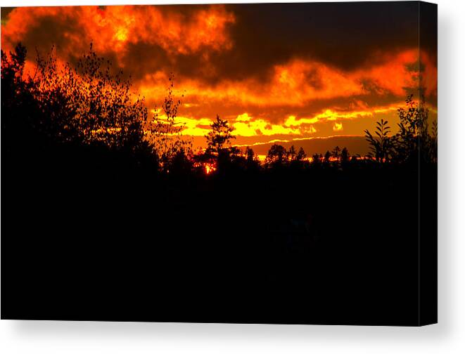 Trees Canvas Print featuring the photograph Sky A Flame by Tikvah's Hope