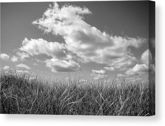 Sky Canvas Print featuring the photograph Sky Grass by Frank Winters