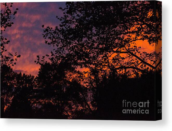 Sky Canvas Print featuring the photograph Sky On Fire 3 by Judy Wolinsky