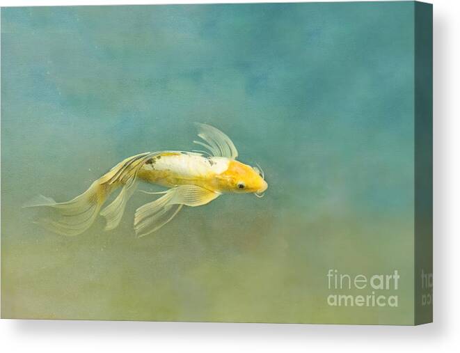 Fish Canvas Print featuring the photograph Skylark by Marilyn Cornwell