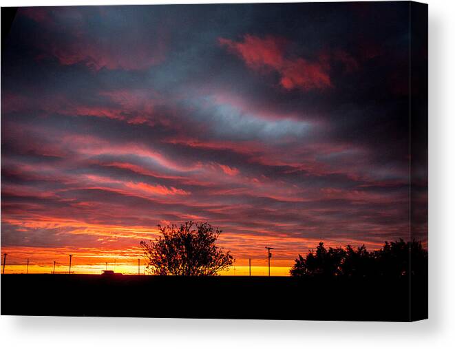 Landscape Canvas Print featuring the photograph Skywaves In Pink by Shirley Heier