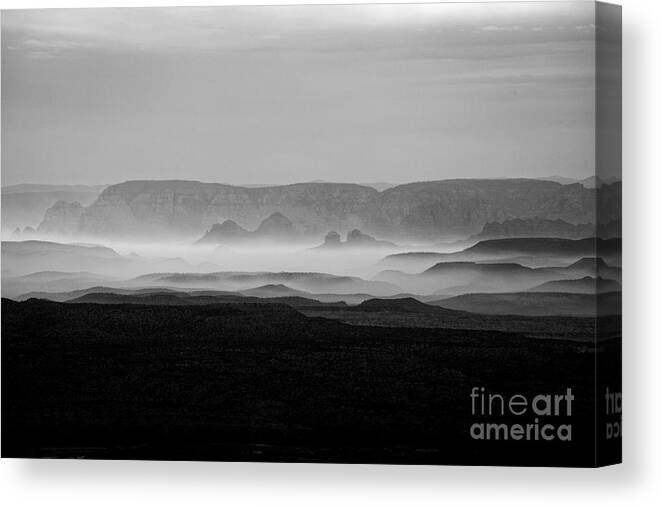 Black And White Canvas Print featuring the photograph Beauty of the Beast by Ron Chilston