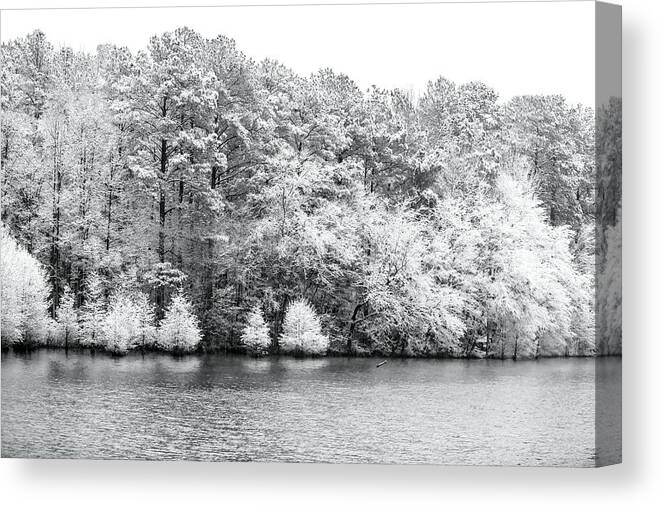 Snow Canvas Print featuring the photograph Snow Covered by Jimmy McDonald
