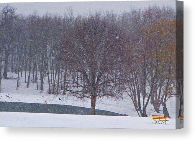 Snow Canvas Print featuring the photograph Snow Day by Chris Berry
