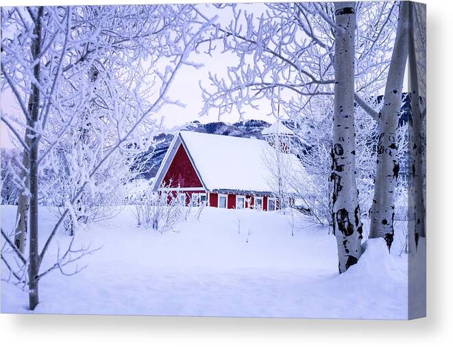 Colorado Canvas Print featuring the photograph Snow Day by Teri Virbickis