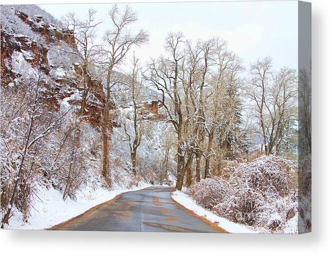Snow Canvas Print featuring the photograph Snow Dusted Colorado Scenic Drive by James BO Insogna