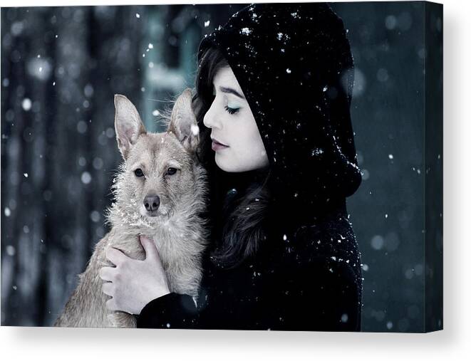 Pet Canvas Print featuring the photograph Snow walk by Cambion Art