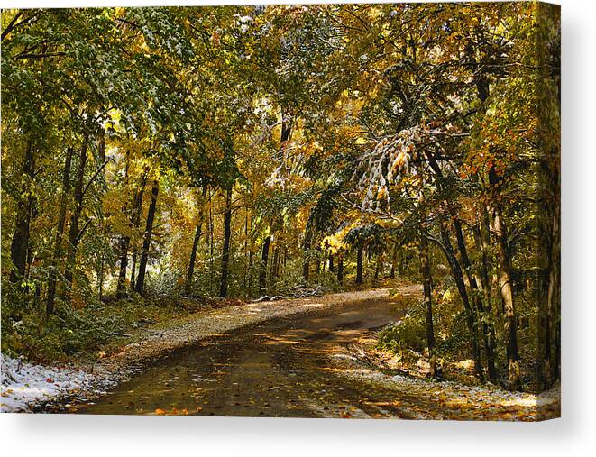 Autumn Canvas Print featuring the photograph Snowy Autumnal Woods by Leda Robertson