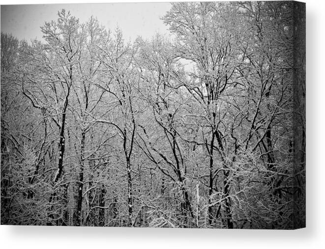 Snow Canvas Print featuring the photograph Snowy Landscape by Mary Zeman