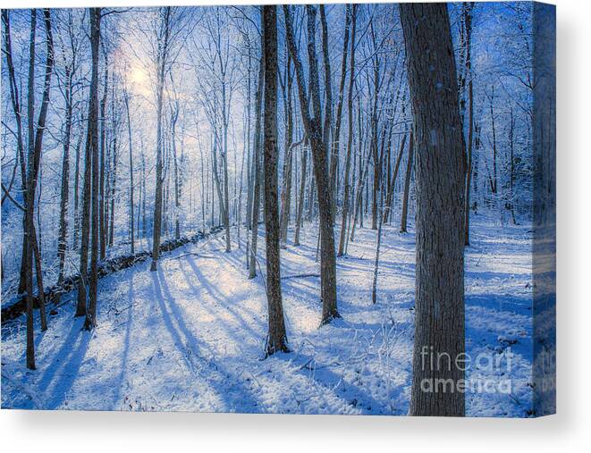 Snow Canvas Print featuring the photograph Snowy New England Forest by Diane Diederich