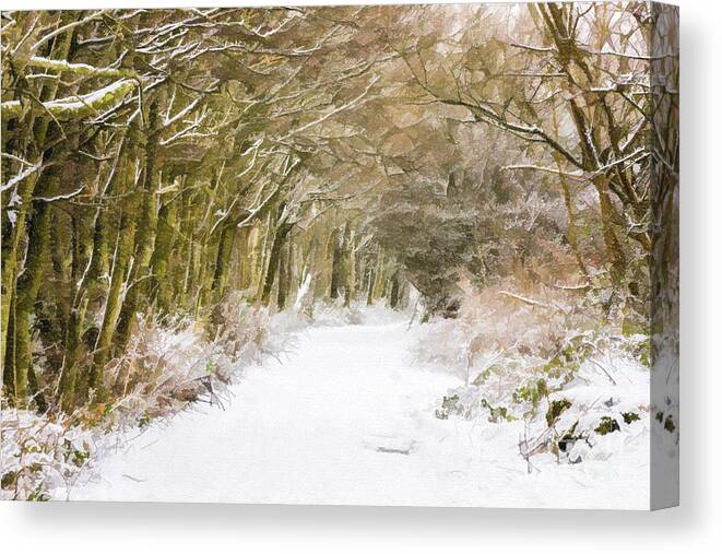Winter Canvas Print featuring the digital art Snowy path by Liz Leyden