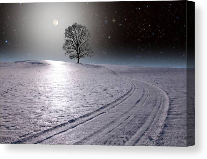 Snow Canvas Print featuring the photograph Snowy Road by Larry Landolfi