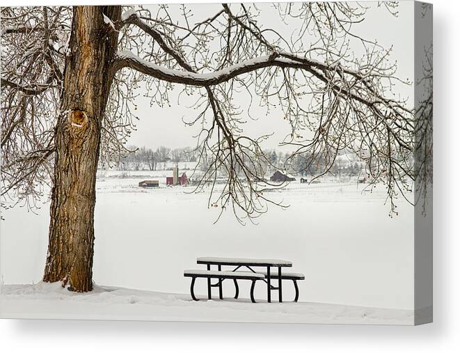 Snow Canvas Print featuring the photograph Snowy Winter Country Cottonwood Tree Landscape View by James BO Insogna