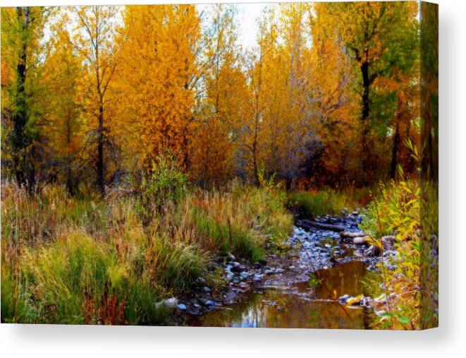 Fall Canvas Print featuring the photograph Soft Forest Colors by Lynn Sprowl