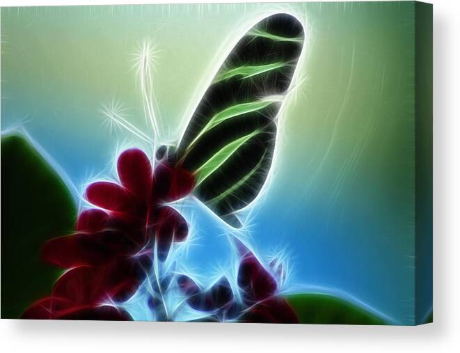 Butterfly Photographs Canvas Print featuring the photograph Soft Landing by Joann Copeland-Paul