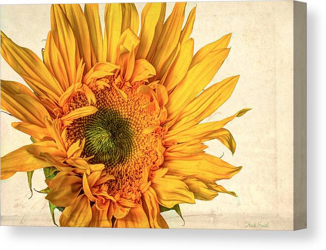 Summer Canvas Print featuring the photograph Sol by Heidi Smith