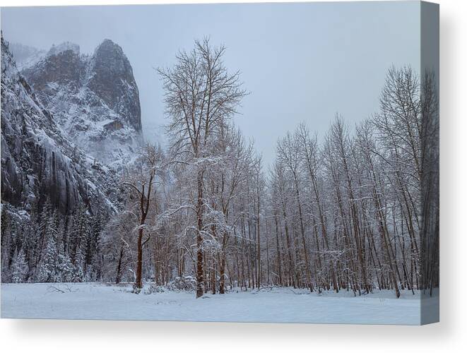 Landscape Canvas Print featuring the photograph Solitary by Jonathan Nguyen