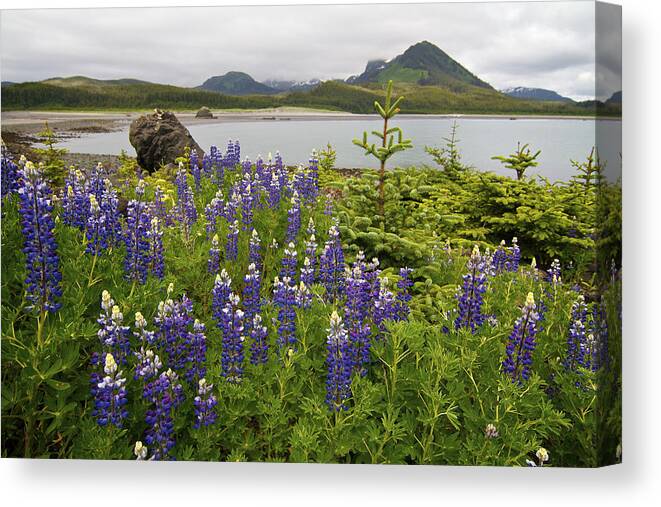 Alaska Canvas Print featuring the photograph Solitude by Scott Slone