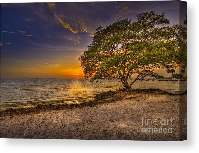 Soothing Light Canvas Print featuring the photograph Soothing Light by Marvin Spates