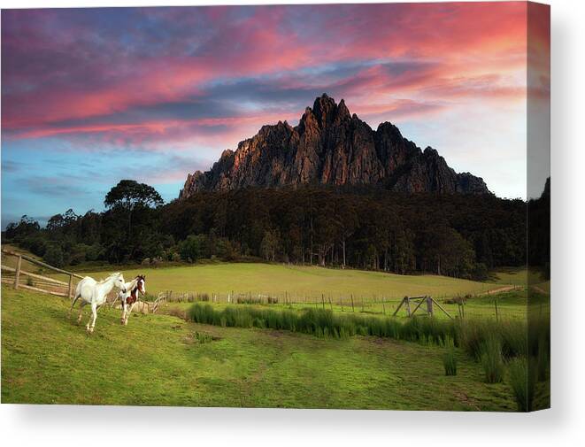 Horse Canvas Print featuring the photograph Soul Mate by Thienthongthai Worachat