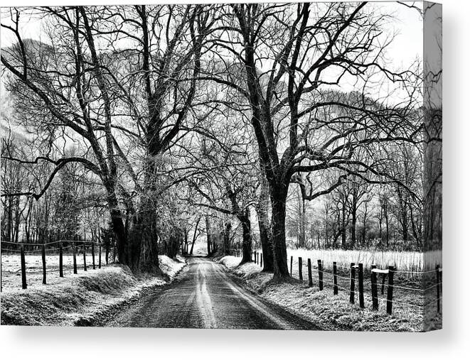 Cades Cove Canvas Print featuring the photograph Sparks Lane During Winter by Carol Montoya