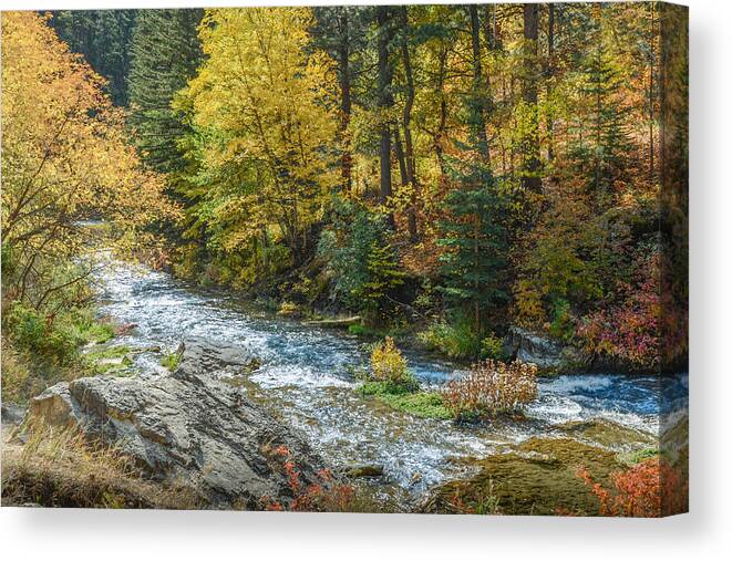 Dakota Canvas Print featuring the photograph Spearfish Creek Autumn by Greni Graph