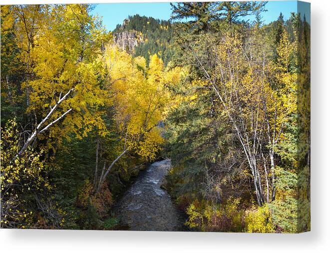 Dakota Canvas Print featuring the photograph Spearfish Creek in Fall Foliage by Greni Graph