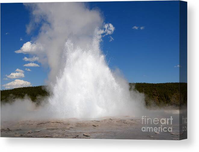 Yellowstone Canvas Print featuring the photograph Spectacular Geyser by Brenda Kean