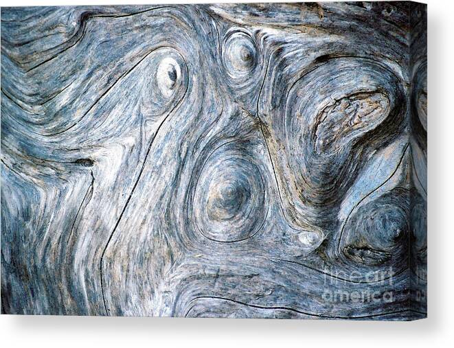 Driftwood Canvas Print featuring the photograph Spirit In The Wood by Douglas Taylor