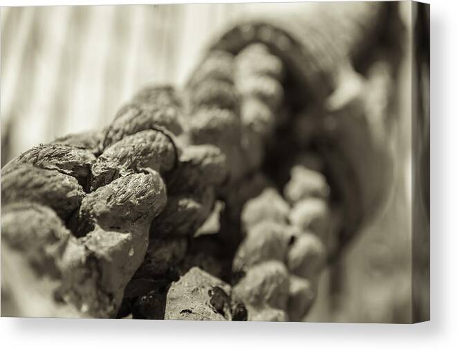 Rope Canvas Print featuring the photograph Spliced and Bound Black and White Sepia by Scott Campbell