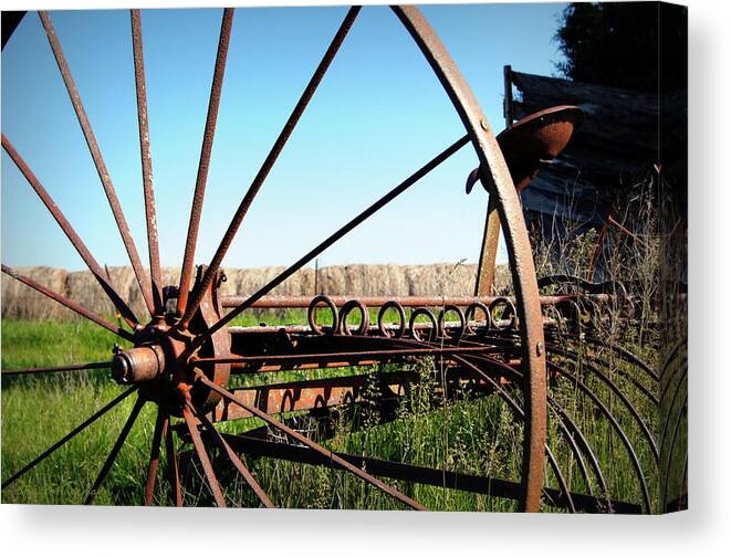 Spokes Canvas Print featuring the photograph Spokes by Cricket Hackmann