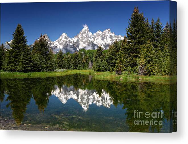 Schwabacher's Landing Canvas Print featuring the photograph Spring at Schwabacher's by Bill Singleton