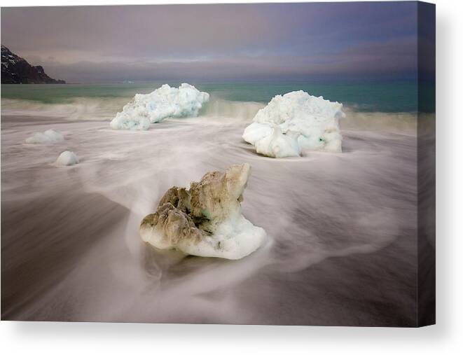 00345813 Canvas Print featuring the photograph Spring Glacial Ice Along St Andrews Bay by Yva Momatiuk John Eastcott