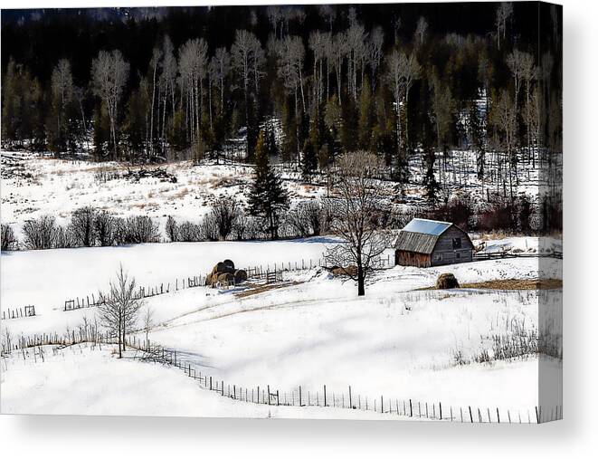 Ranch Canvas Print featuring the photograph Spring Horizon by Ed Hall