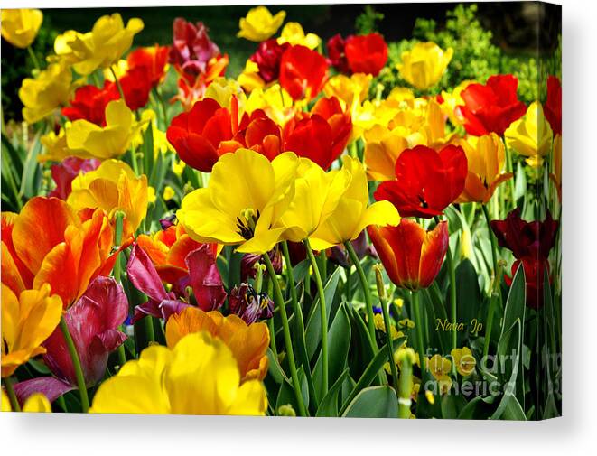 Nature Canvas Print featuring the photograph Spring is Coming by Nava Thompson