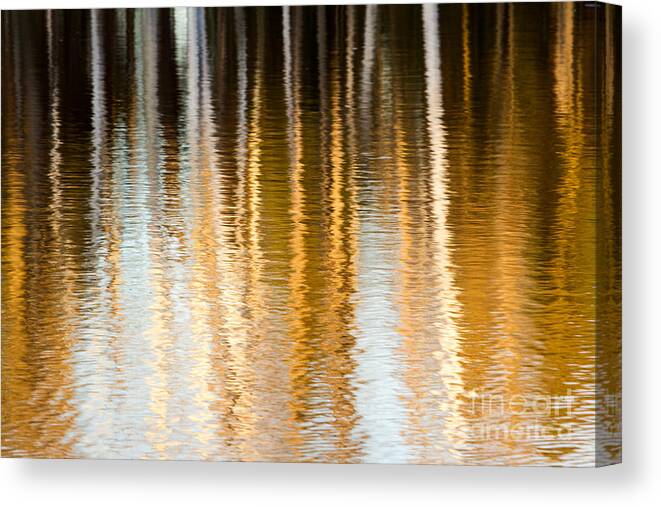 Reflections Canvas Print featuring the photograph Spring Reflections by Lori Dobbs