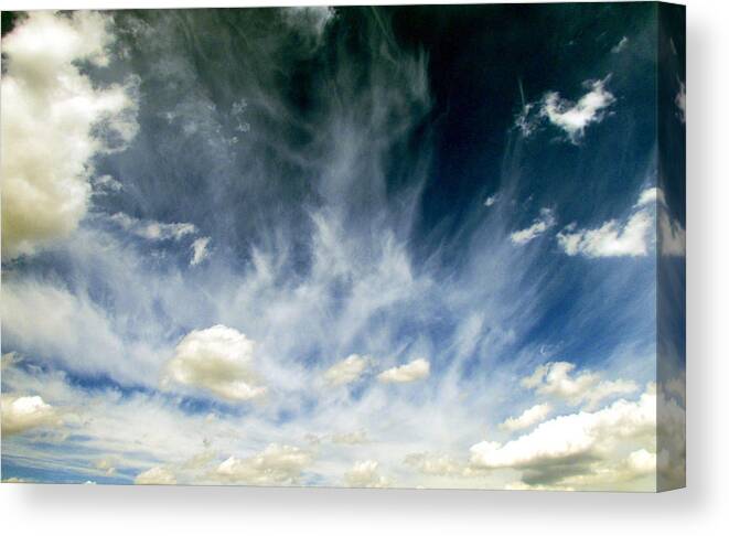 Sky Canvas Print featuring the photograph Spring Sky by Andrea Dale