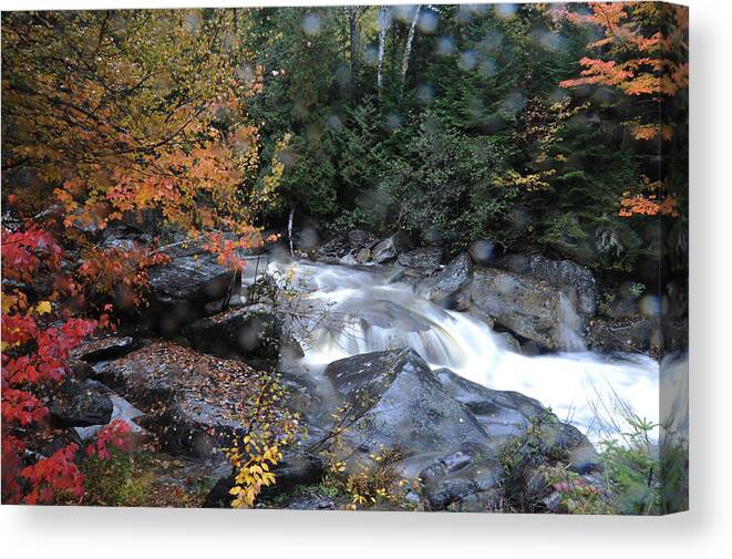 Home Canvas Print featuring the photograph Sprinkles by Richard Gehlbach