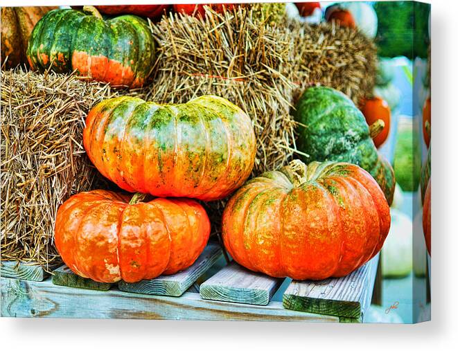 Outdoors Canvas Print featuring the photograph Squatty Orange Pumpkins by Paulette B Wright