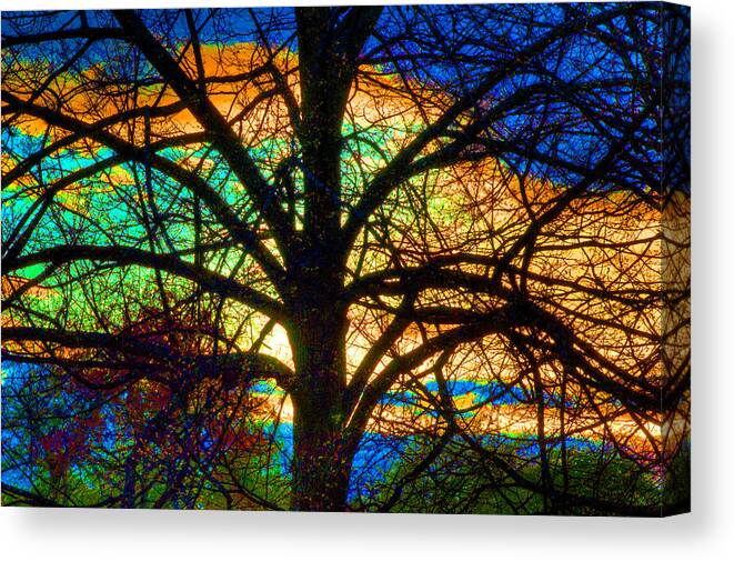 Stained Glass Tree Canvas Print featuring the photograph Stained Glass Tree by Rob Huntley