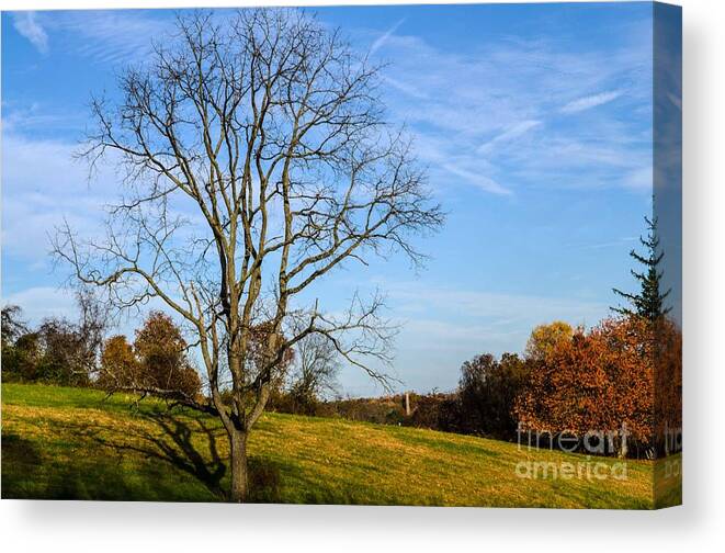 Landscape Canvas Print featuring the photograph Stand Alone by Judy Wolinsky