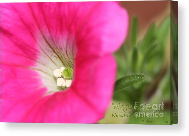 Texture Canvas Print featuring the photograph Stand Out by Sandra Clark
