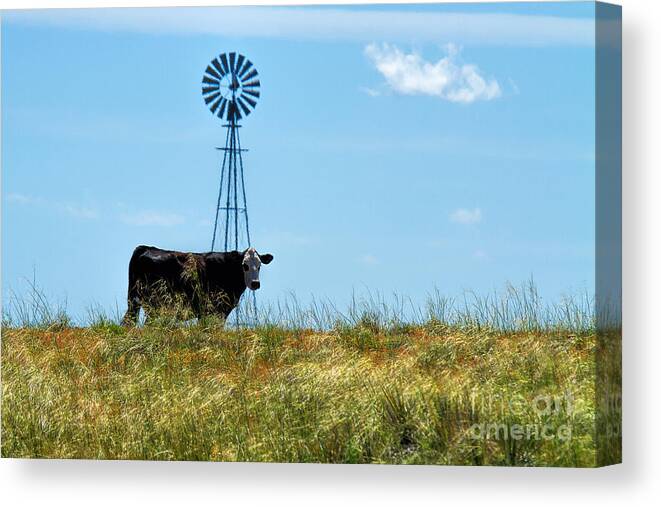 Windmill Canvas Print featuring the photograph Standing by the Water Hole by Jim Garrison