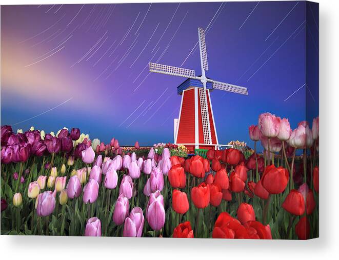 Star Canvas Print featuring the photograph Star trails windmill and tulips by William Lee