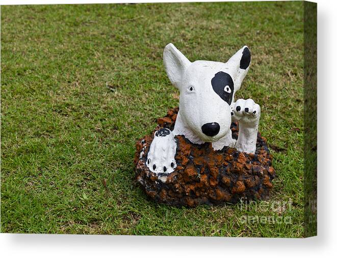 Animal Canvas Print featuring the photograph Statue Of A Dog Decorated On The Lawn by Tosporn Preede