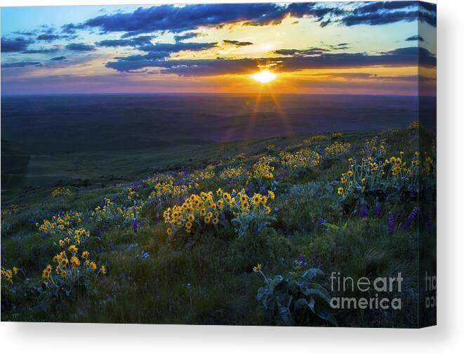 Steptoe Butte Canvas Print featuring the photograph Steptoe Sunset by Sonya Lang